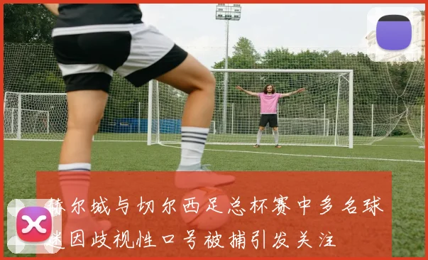 赫尔城与切尔西足总杯赛中多名球迷因歧视性口号被捕引发关注